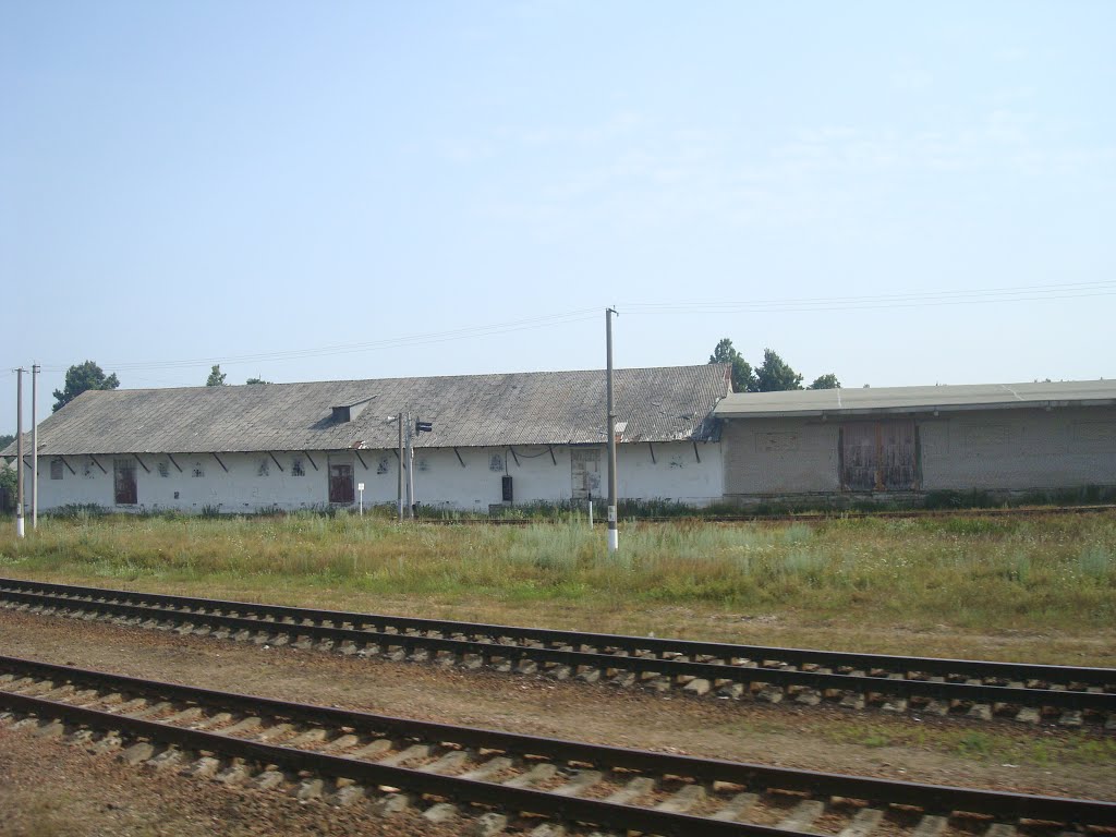 Станция Богушевская, Богушевск