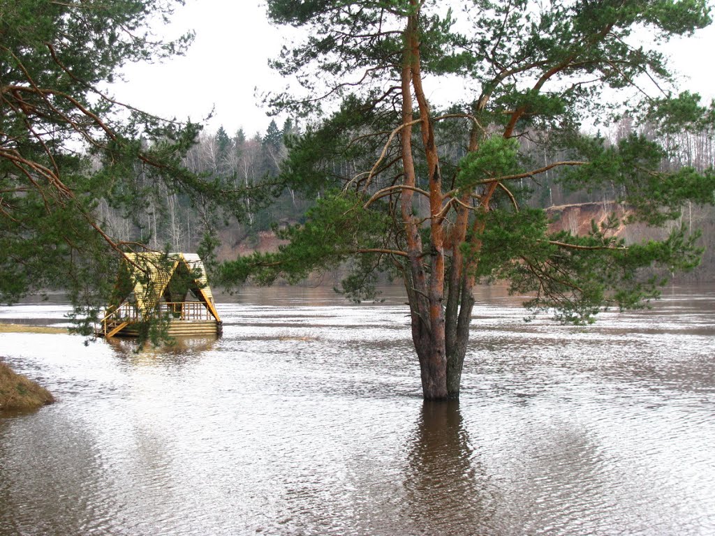 Река Двина. Паводок. Dvina River. Flooding., Верхнедвинск