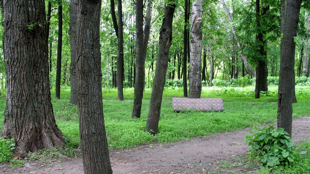 Karatkievič Park in Viciebsk (with sofa back leaned to the tree :), Витебск