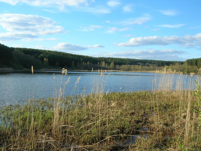 Озеро Луговое., Городок