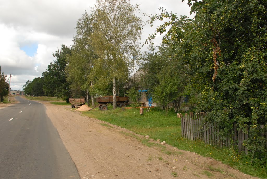 Деревня Нурово, Дисна