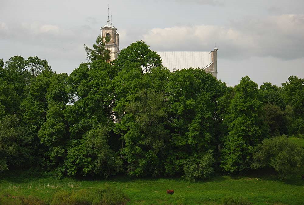 View to the Saint Mary the Virgin church in Prydrujsk (Piedruja, Latvia) from the Belarusian bank of Dźvina, Друя