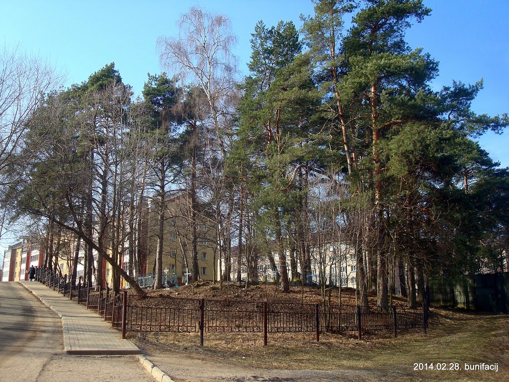 Старое кладбище деревни Середома, Новополоцк