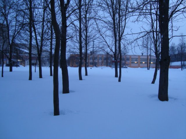 ліпавы парк каля сярэдняй школы №17, Орша