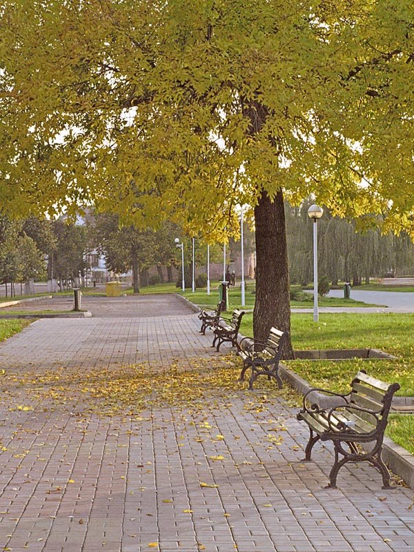 Orsha, town-park, Орша