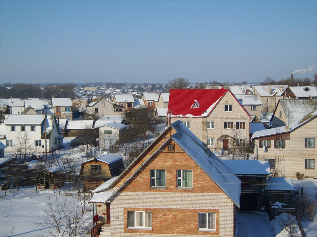Зима 2009 (2), Толочин