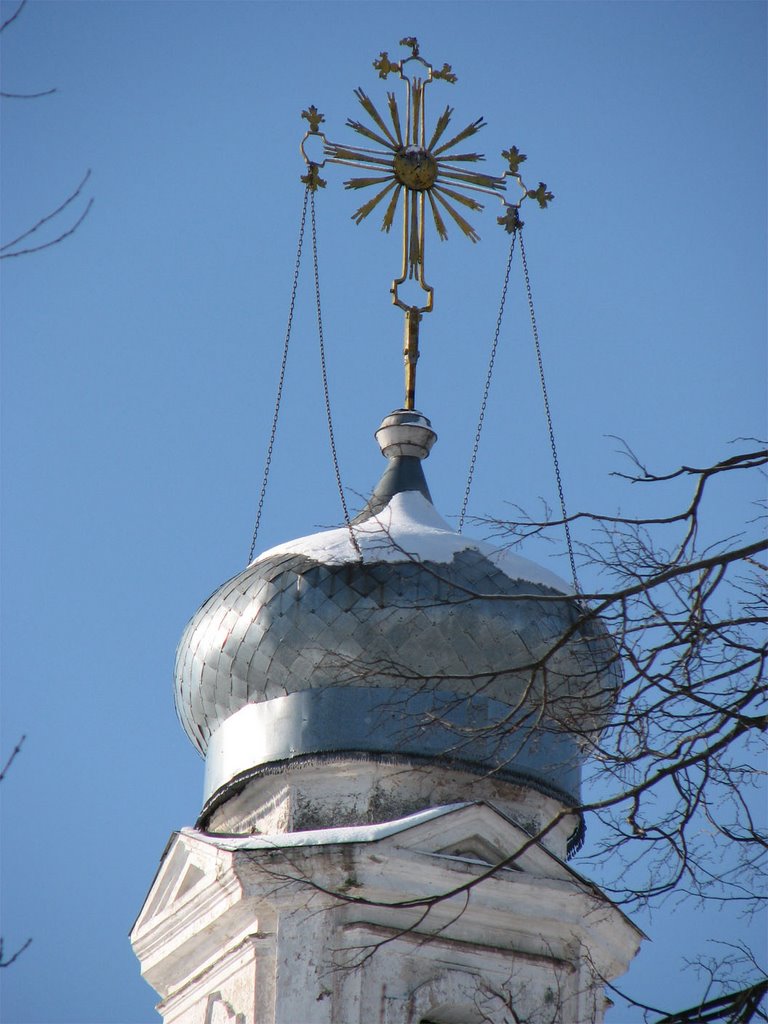 Купола церкви, Толочин