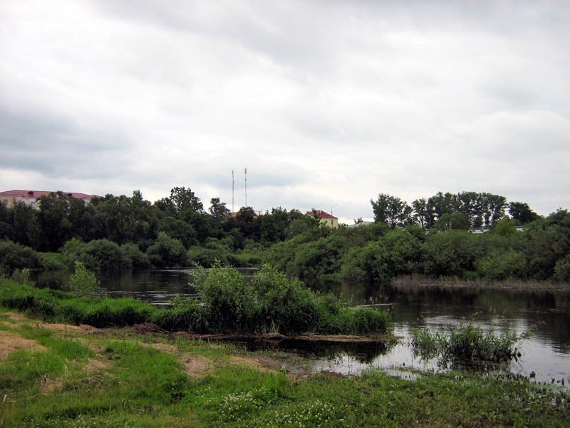 The river Disna, Шарковщина
