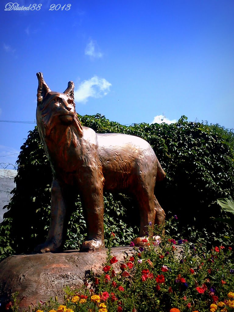 Рысь - знак горада Гомель ... Lynx - a symbol of Gomel, Белицк