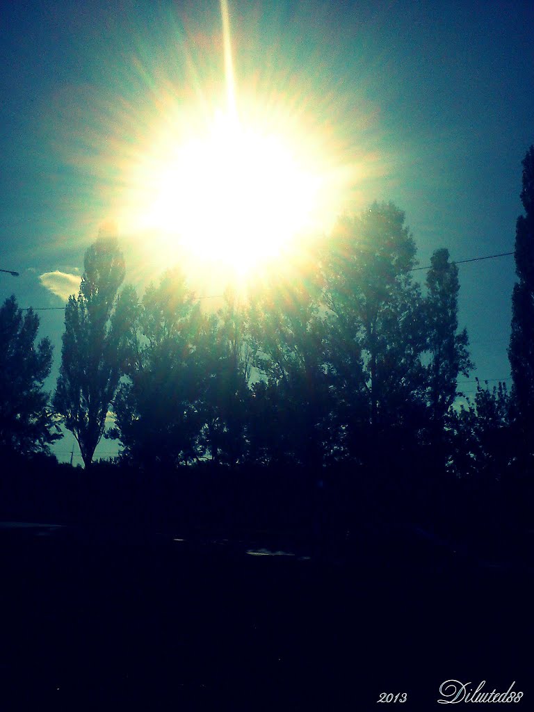Праменьчыкі сонца скрозь дрэвы ... Rays of sun through the trees, Белицк