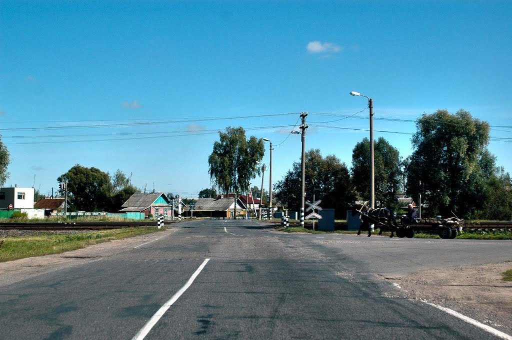 Зеленый остров буда кошелевский район фото панорама Зеленый остров буда кошелевский район фото панорама