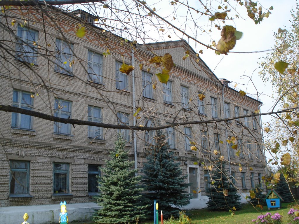 Школа, Василевичи