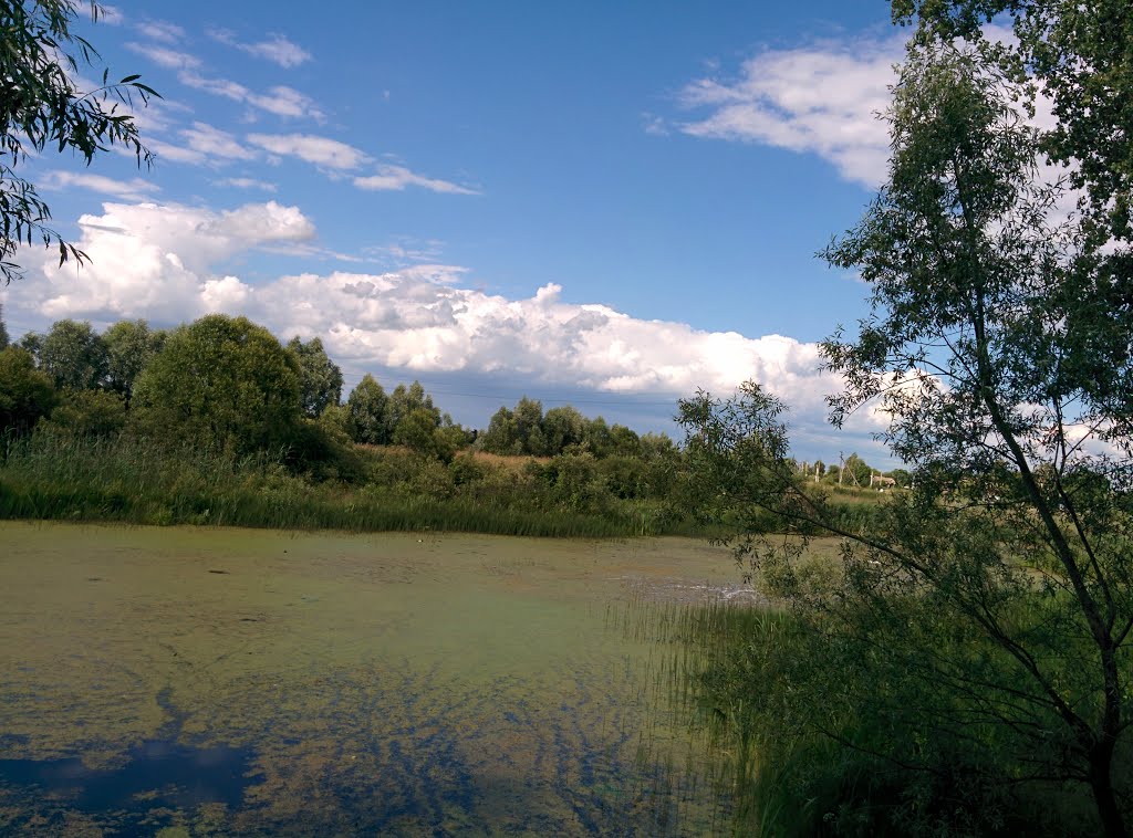 река Уть., Васильевка