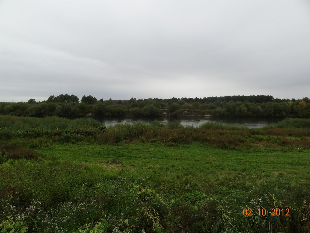 Ветка, река Сож - 2.10.2012, Ветка