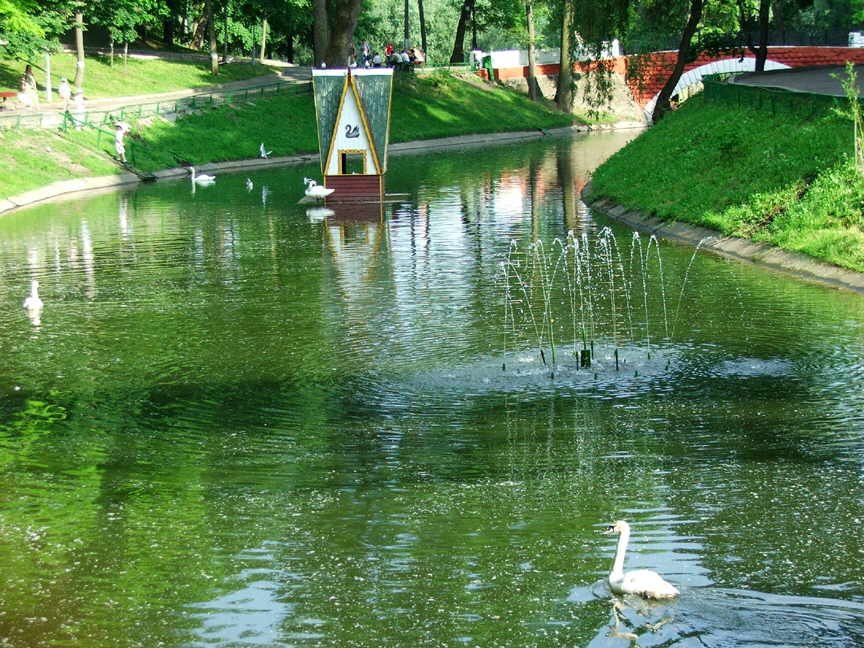 The Swan Pond., Гомель