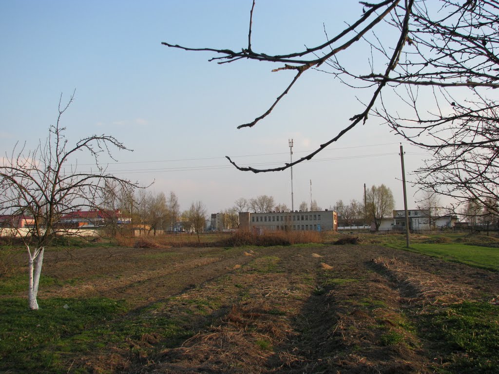 Апрель 2010г., Ельск
