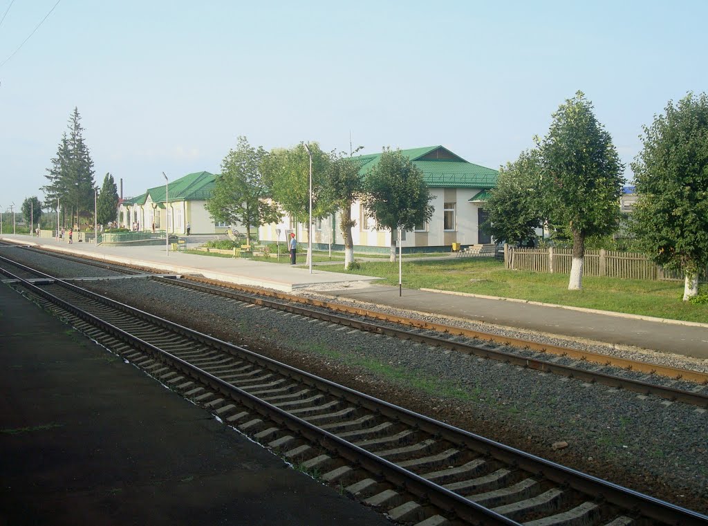 Станция Ельск, Ельск