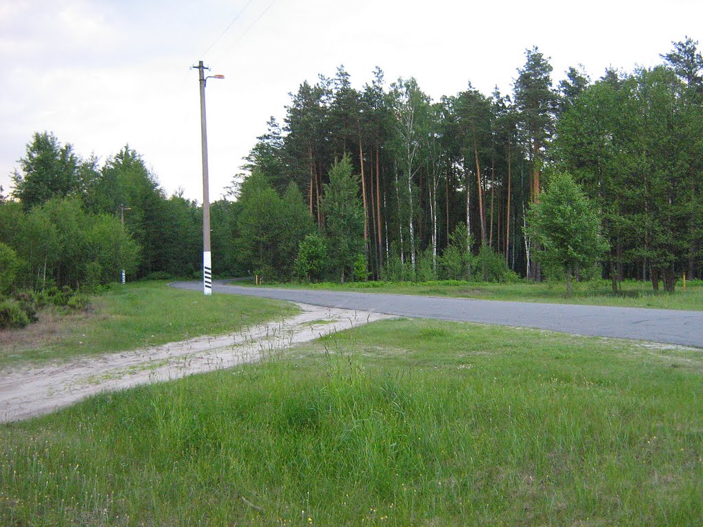 Дорога в центр Житкович из Соснового, Житковичи