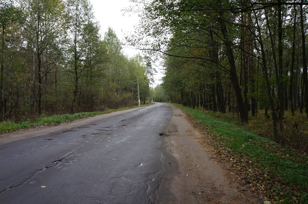 Дорога в центр Житкович, Житковичи