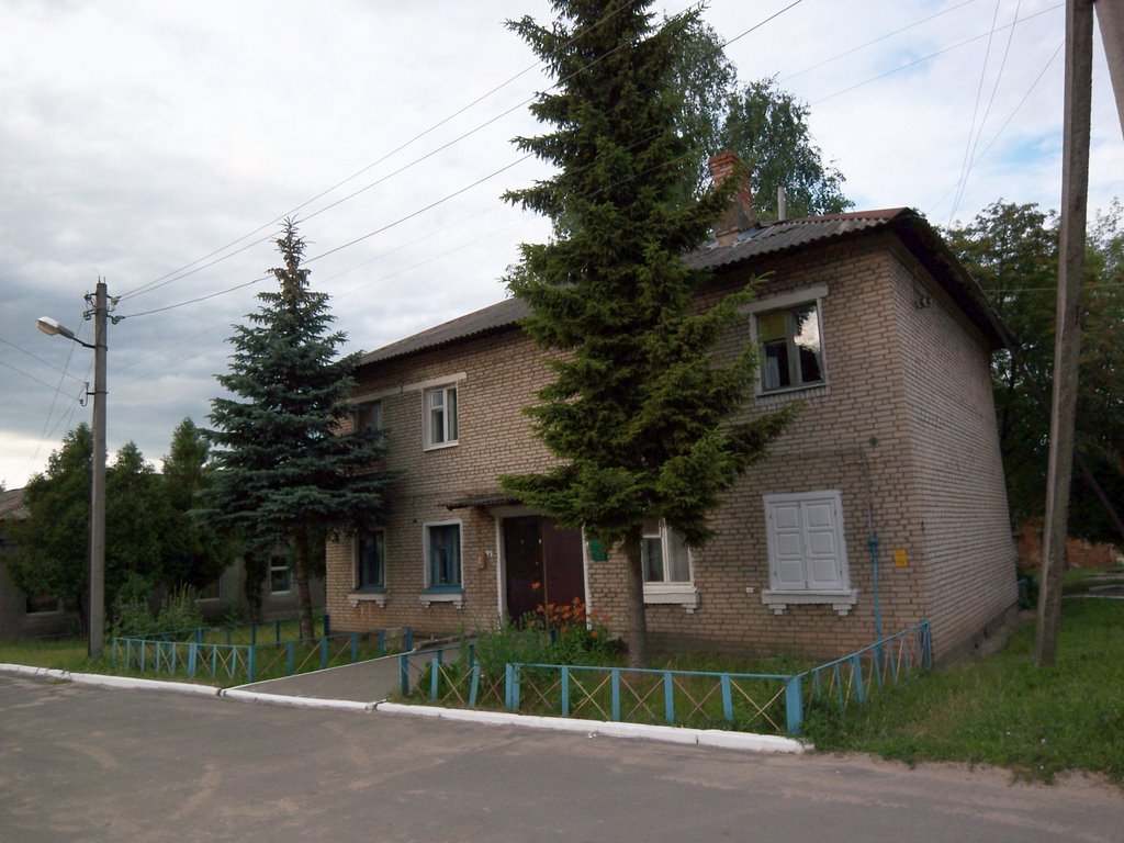 Small house, Жлобин