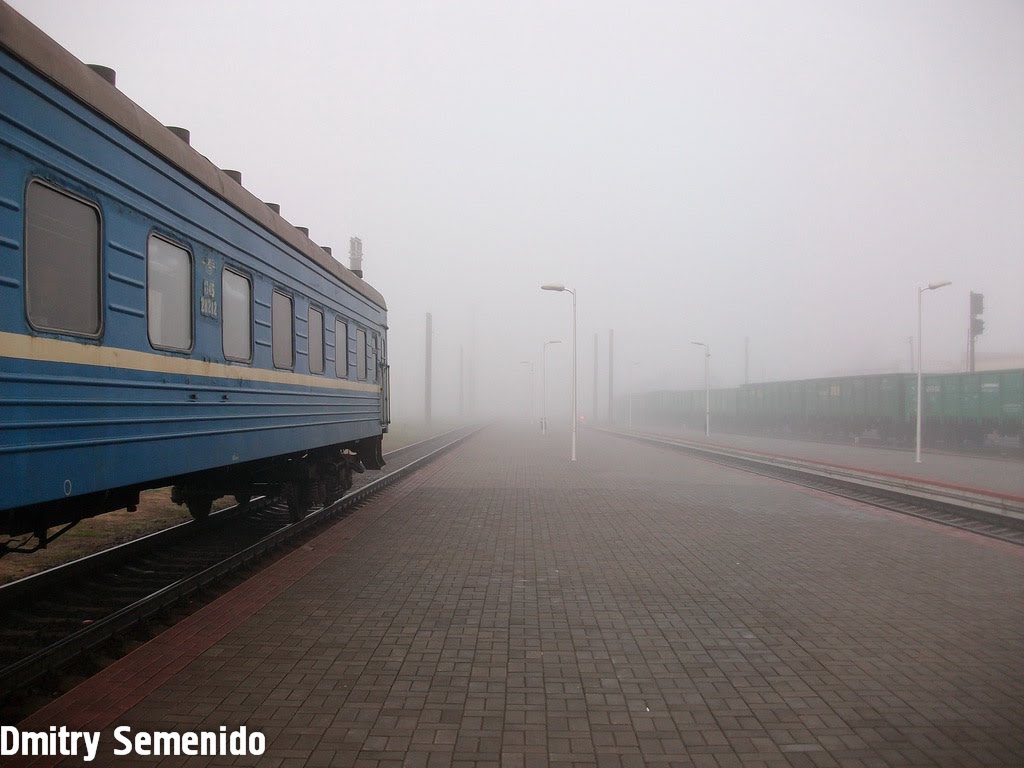 Туман / Fog, Жлобин