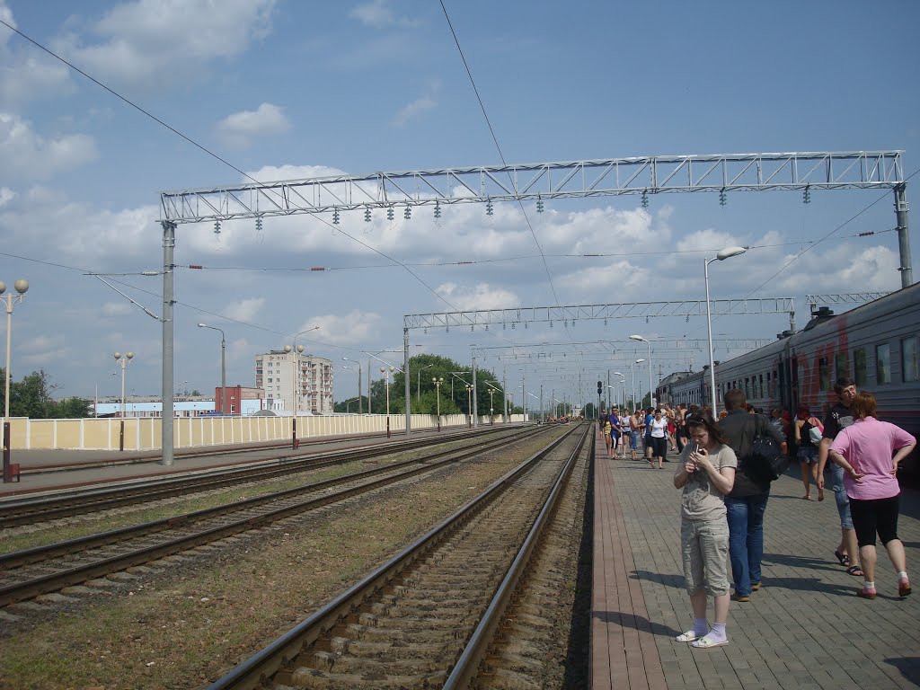 Станция Жлобин, Жлобин