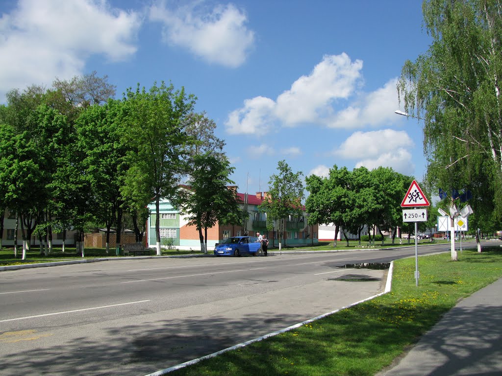 Lelchytsy streets, Лельчицы