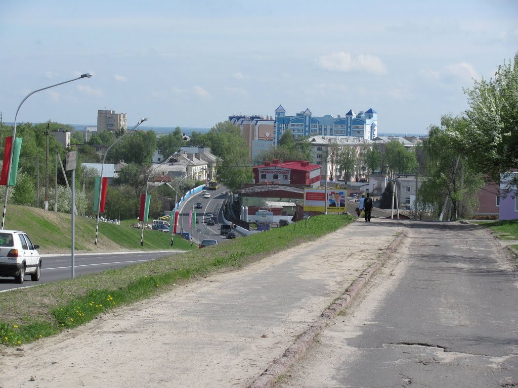 view on the street Ryzhkov 2, Мозырь