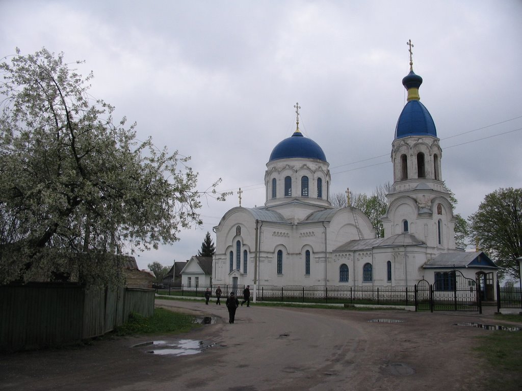 церква Св. Миколая в Петрикові, Петриков