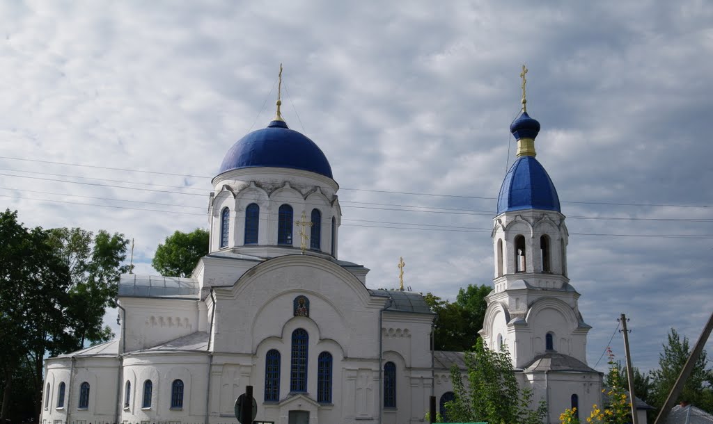 Церковь в Петрикове, Петриков