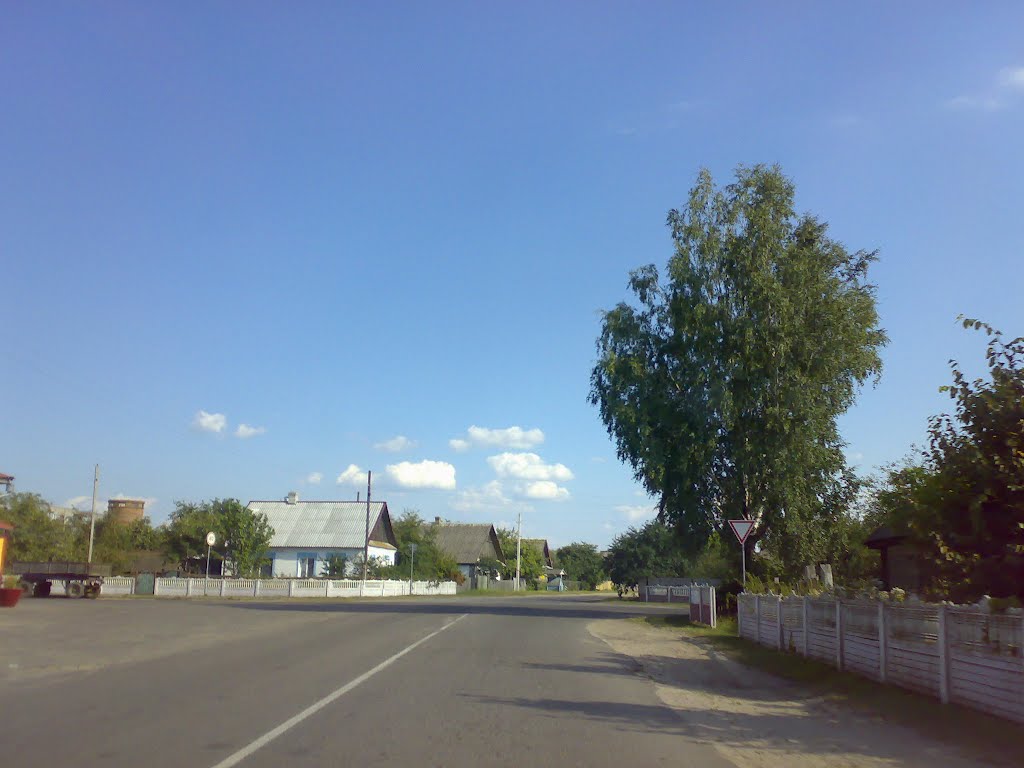 улица Пушкина, Петриков