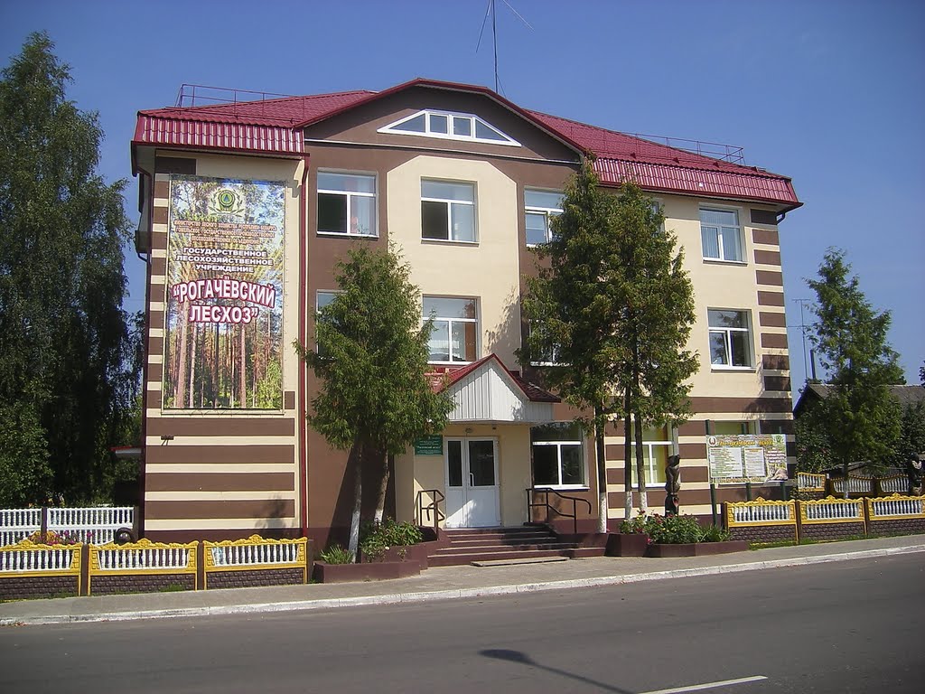 Обновленное здание Рогачёвского лесхоза, Рогачев
