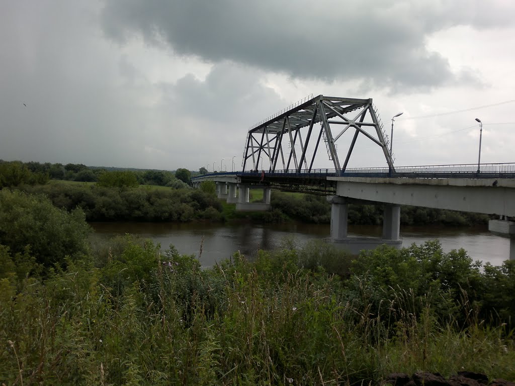 мост через Днепр 6.07.2011, Рогачев