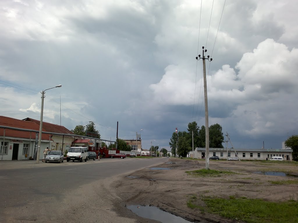 Рогачёв 6.07.2011, Рогачев