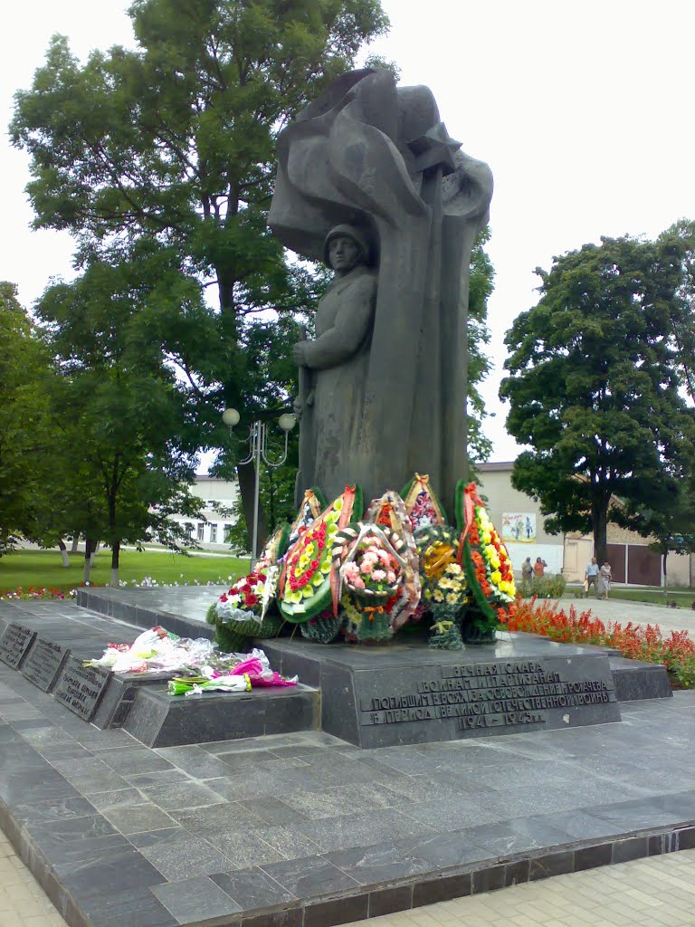 Памятник воинам и партизанам, Рогачев