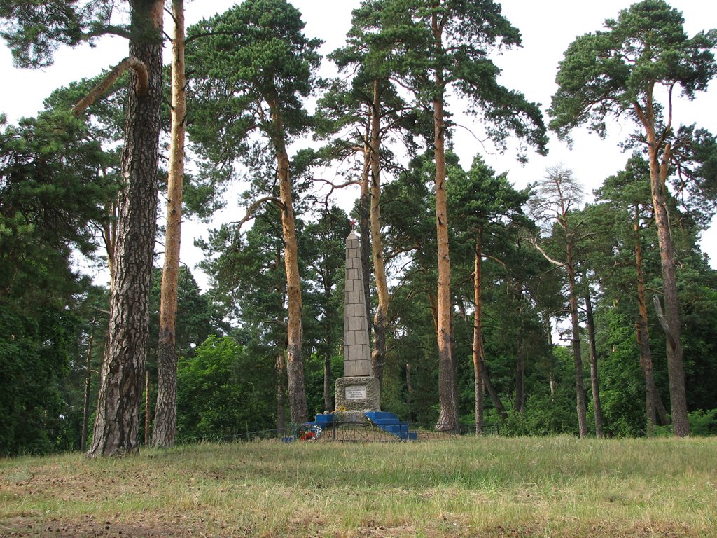 Памятник, Рогачев