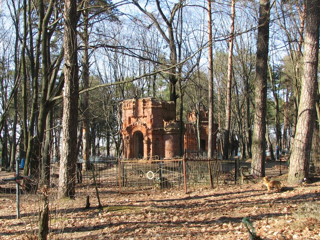 Old graveyard, Рогачев