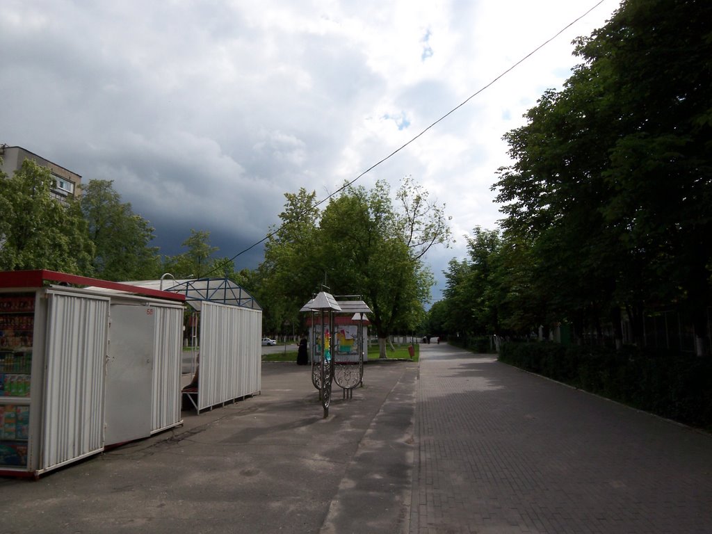 Central street, storm, Светлогорск