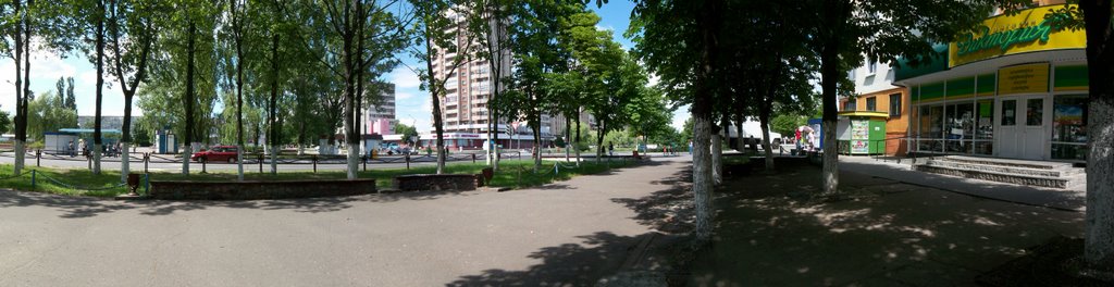 Half-panorama, Светлогорск