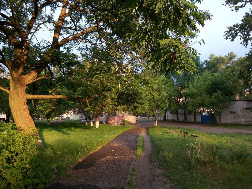 Sun in Acacia, Светлогорск
