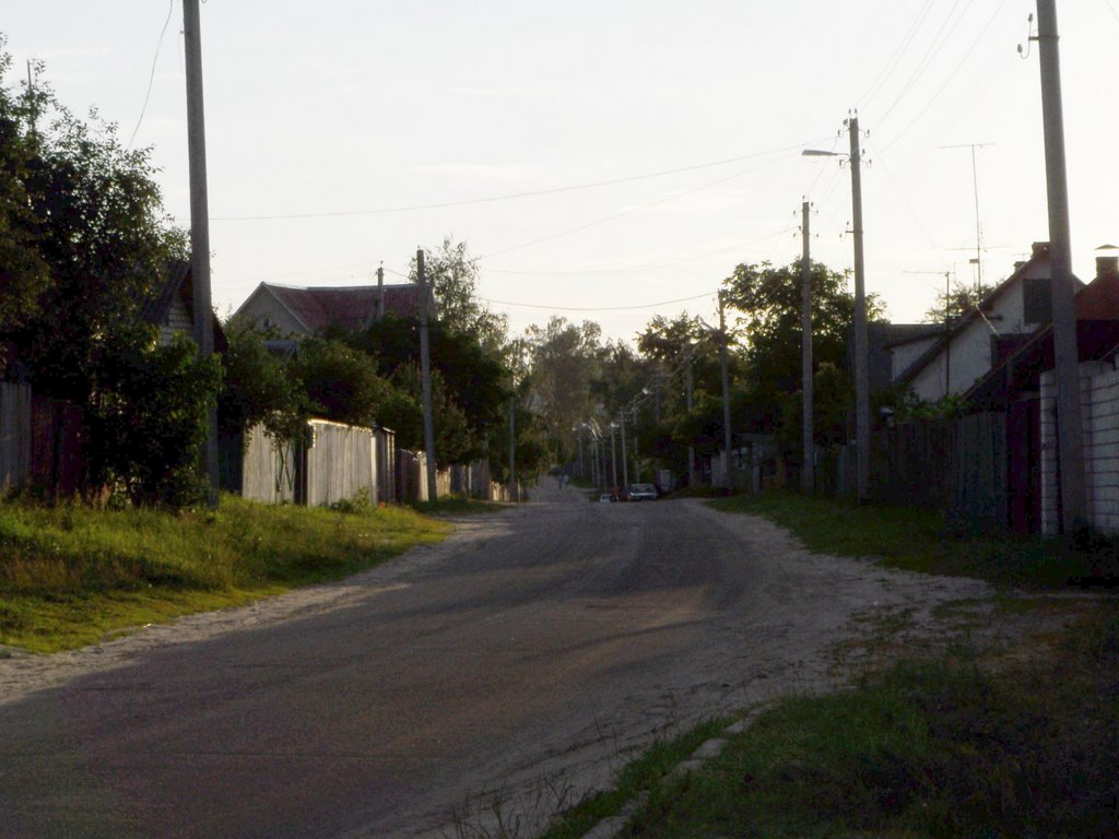 Street in Shacilky village, Светлогорск
