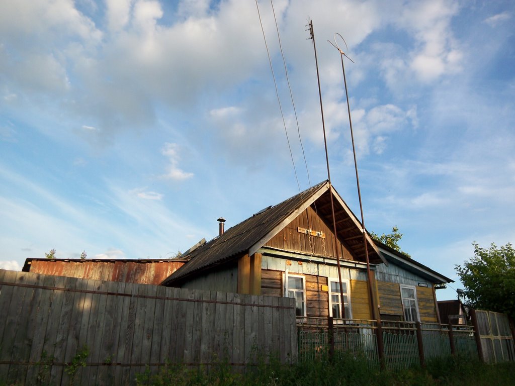 Village house, Светлогорск