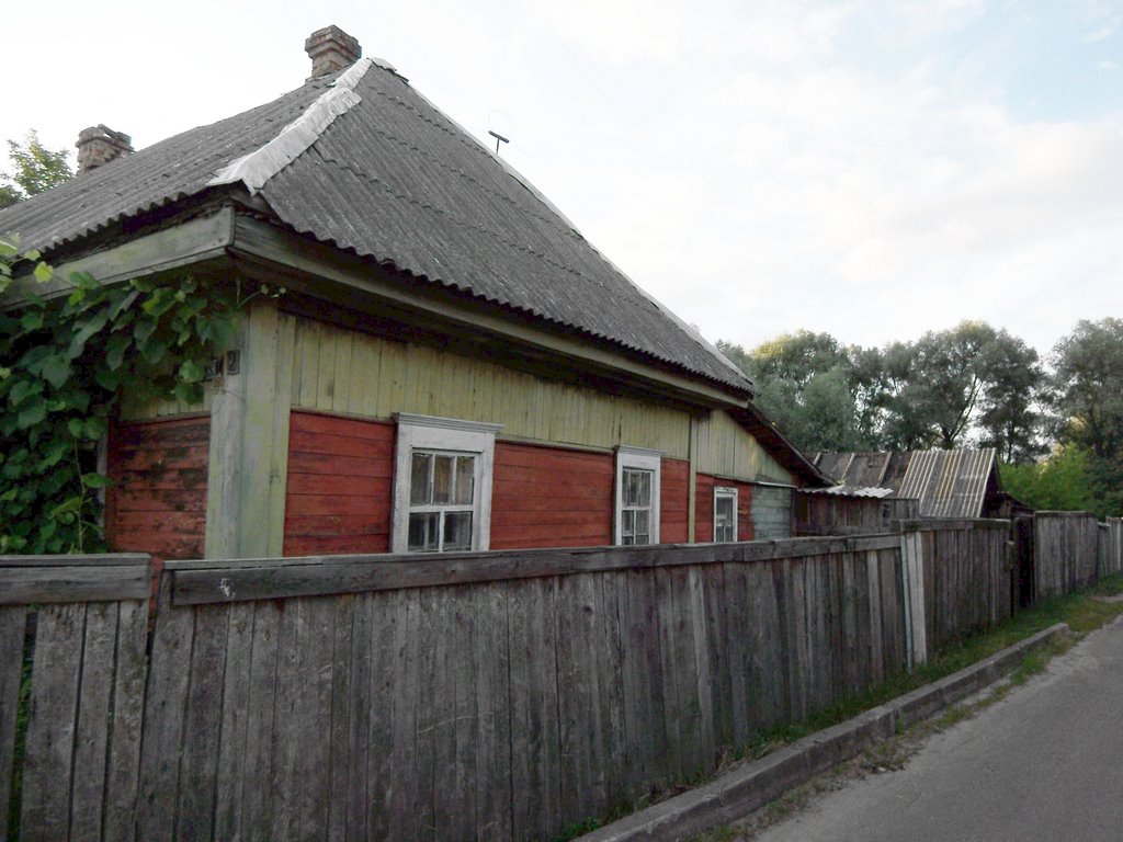 House in Shacilky village, Светлогорск
