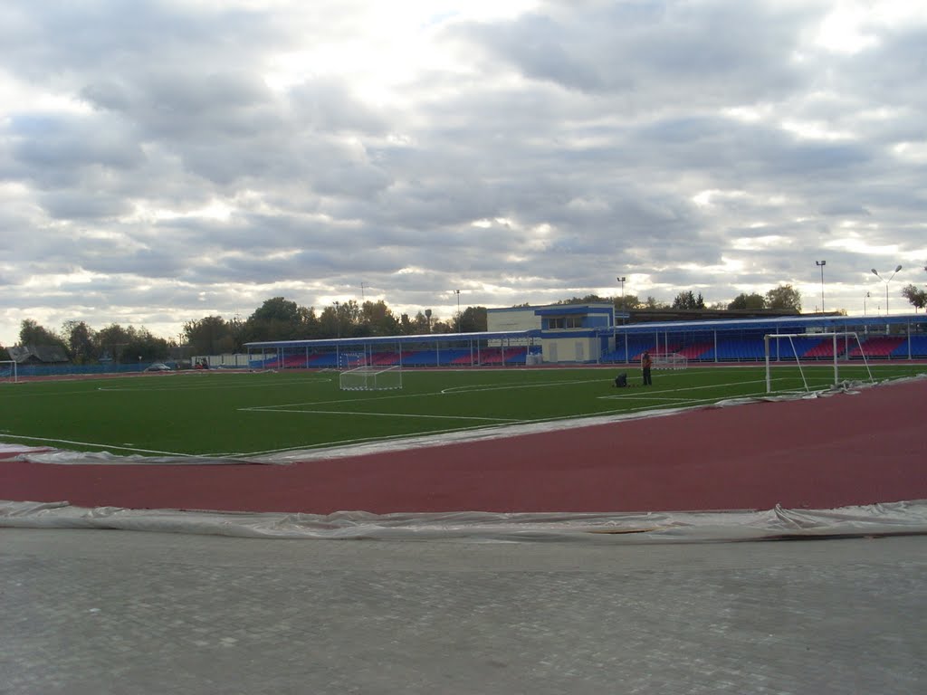 Стадион, Хойники