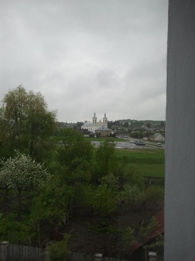 Шведская гора и косцел св. Вацлава из окна гостиницы "Березка" в Волковыске, Волковыск