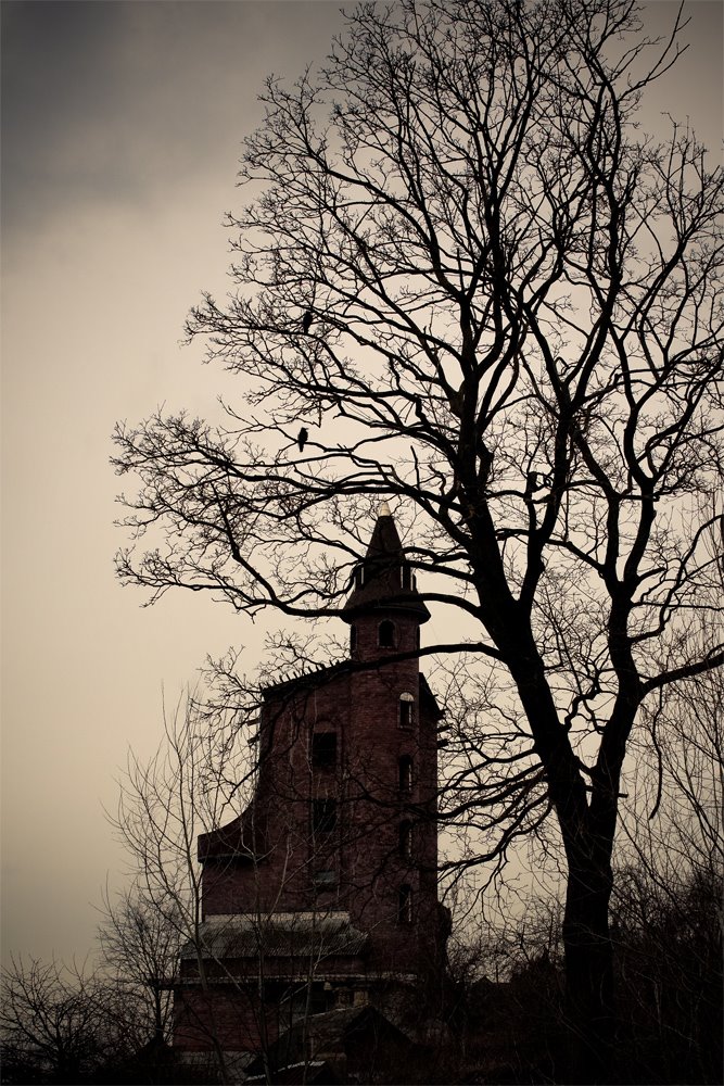 Black Tower, Гродно