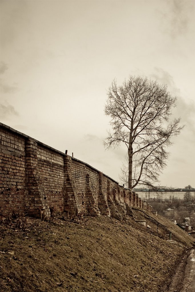 Cemetery Walls, Гродно