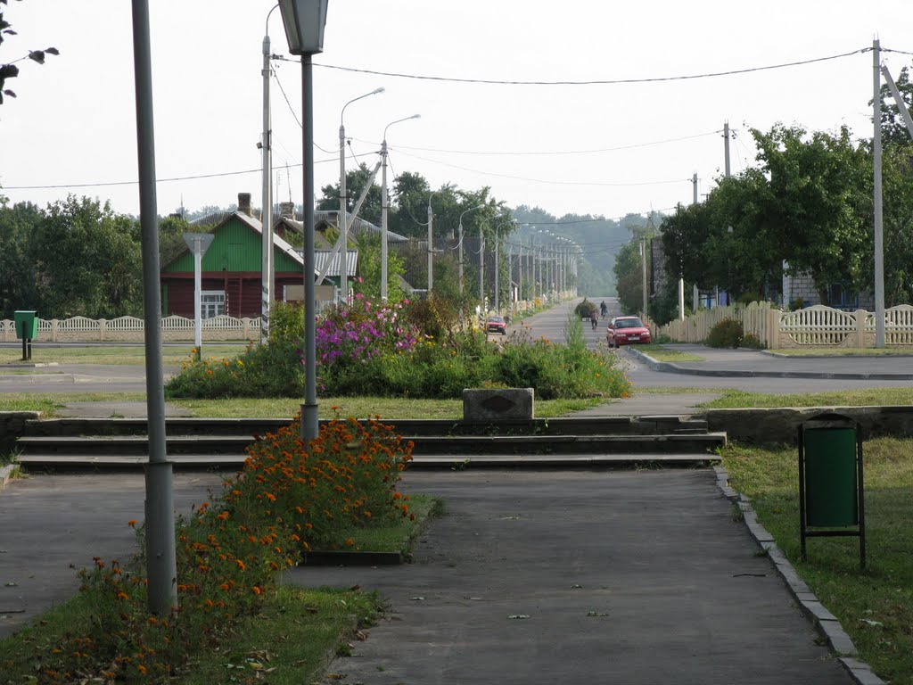 Zheludok park (view to Krasnopartizanskaya st)), Желудок
