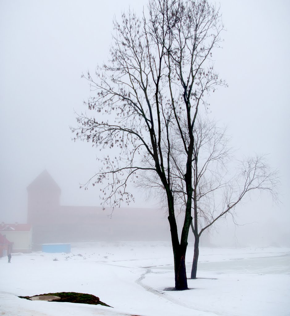 Лидский замок в тумане, Лида