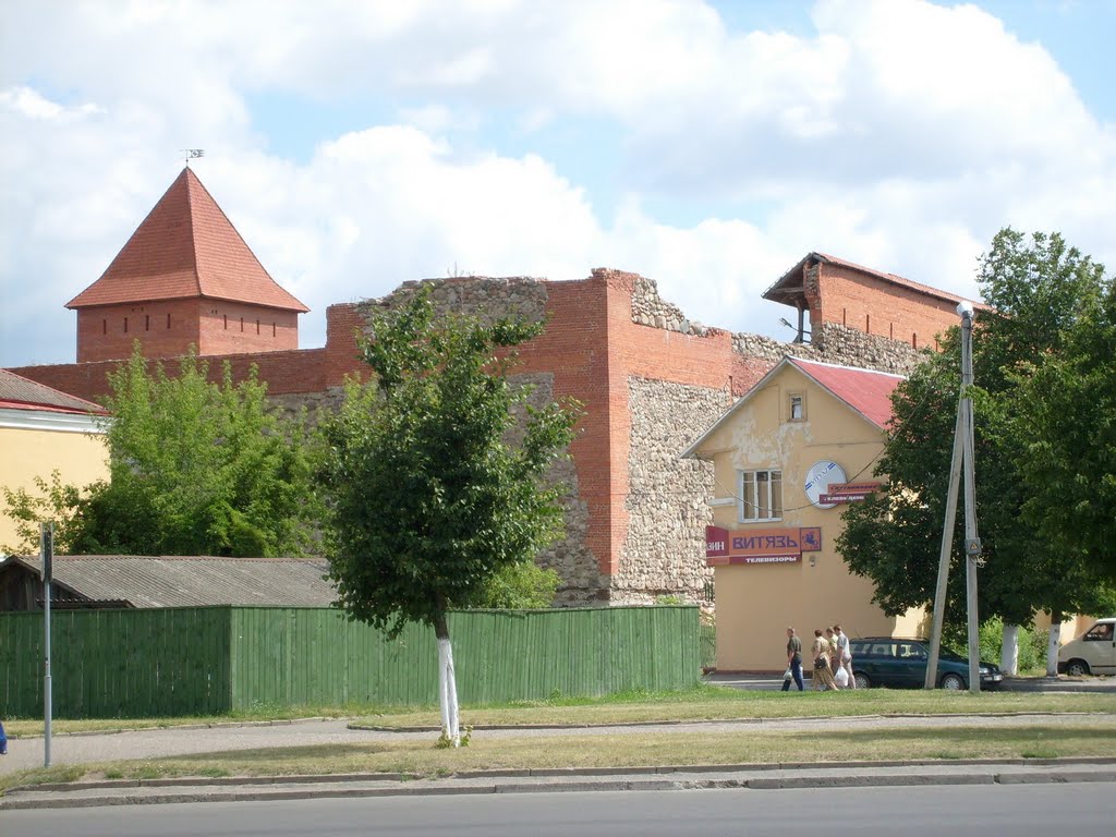 Лидский замок 2008, Лида